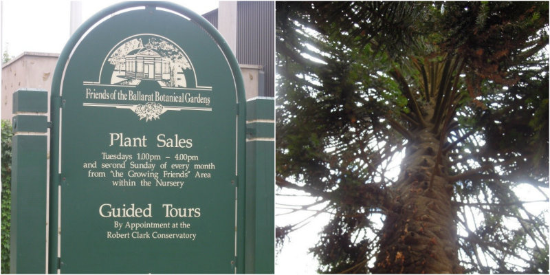 Friends of the Ballarat Botanical Gardens offer plant sales and heritage tours all weekend
